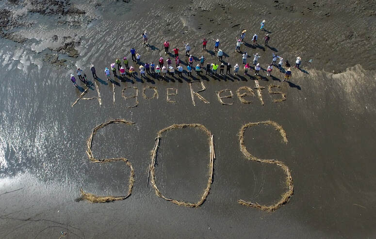 護藻礁遭抹黑打壓  環評委員怒揭真相 ：誰跟你中共同路人！