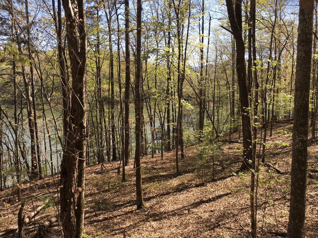 191 Lakes WayFontana Lake Estates Fontana Lake Realty