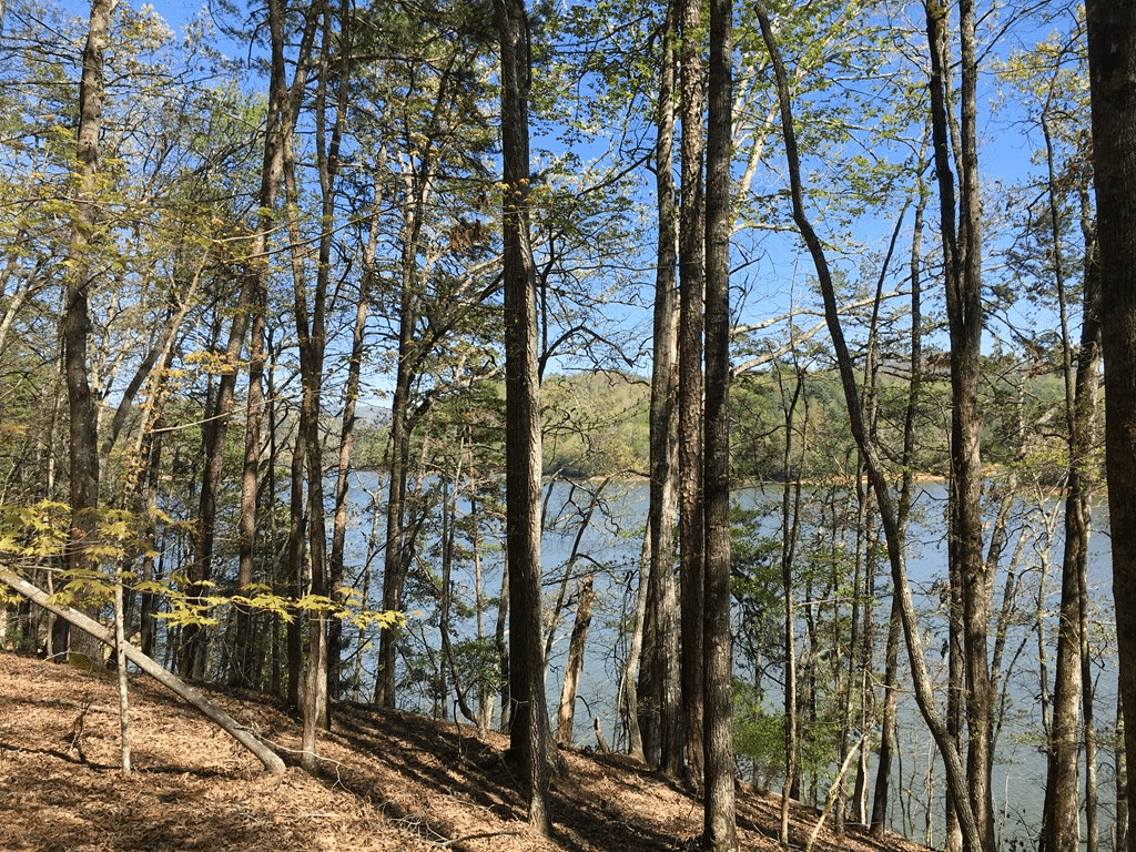 191 Lakes WayFontana Lake Estates Fontana Lake Realty