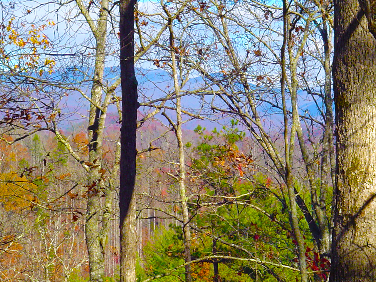 233 Whispering Pines Ridge, Bryson City Under Contract Fontana Lake Realty