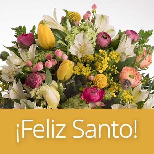 Inicio Floristeria Fontanillas