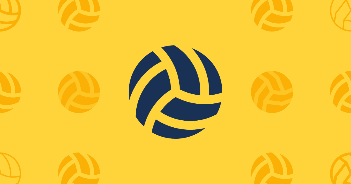 Volleyball Solid Icon Font Awesome