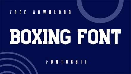 Level Up Your Logo With Boxing Font