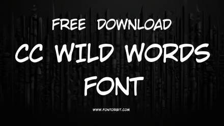 Explore The Unique CC Wild Words Font For Your Designs