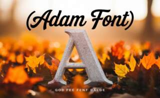 Adam Font: A Rounded Serif Font For Modern Designs