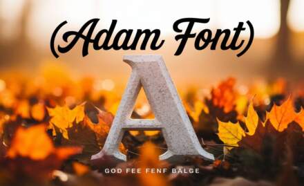 Adam Font: A Rounded Serif Font For Modern Designs