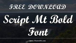 How To Use Script MT Bold Font Effectively
