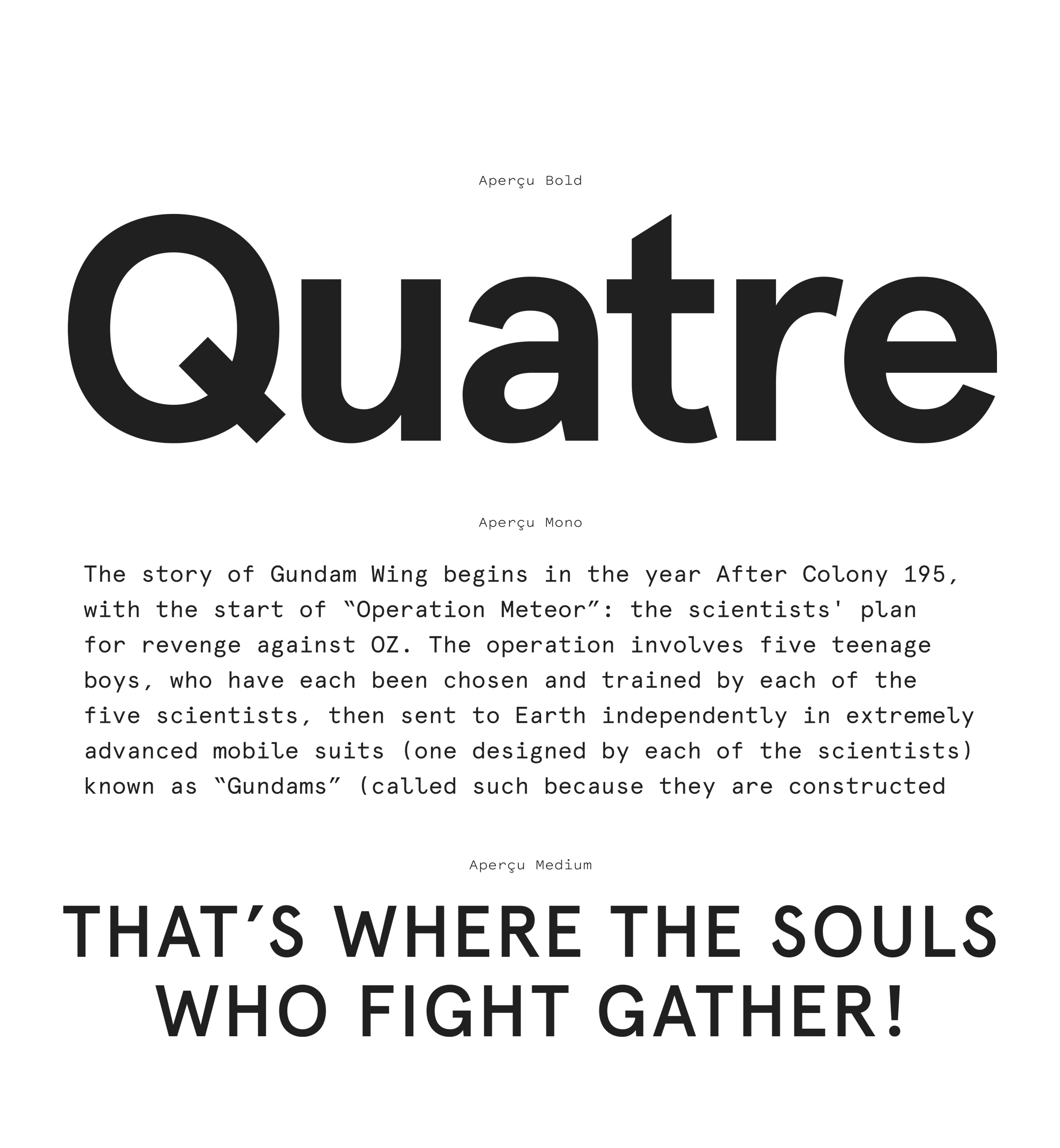 Aperçu Font Review Journal