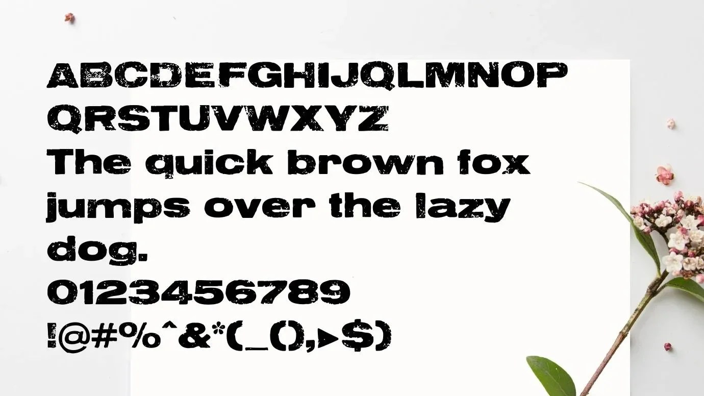 Letterpress Font Fonts Studio