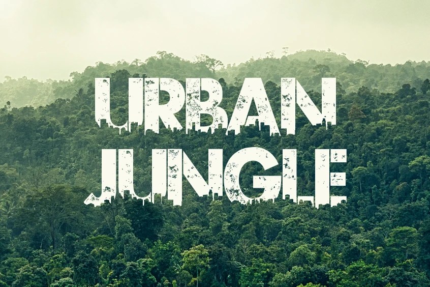 Urban Jungle Font Free Download FontSwan