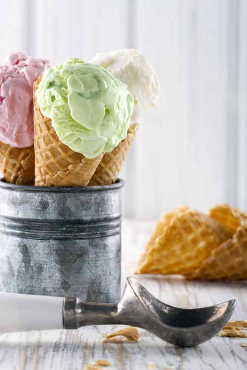 The Best Ice Cream Scoops of 2020 Make Your Sundae in Style Foodal