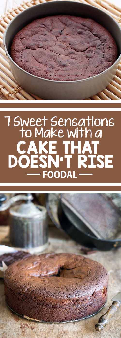 7 Sweet Sensations to Make with Cake That Doesn't Rise Foodal