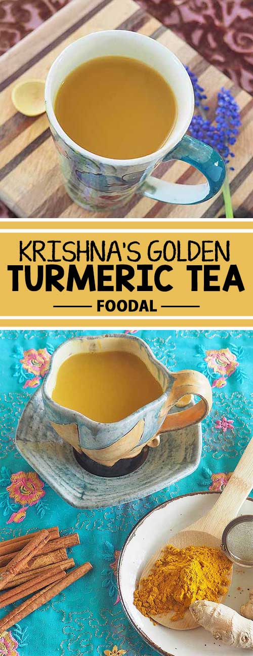 Krishna’s Golden Turmeric Tea Recipe Invigorating & Healthy Foodal