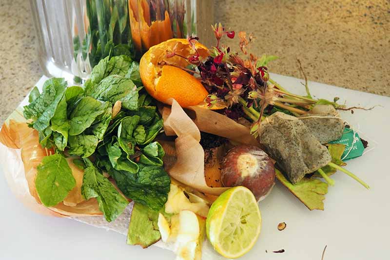 Kitchen Composting 101 How to Repurpose Food Scraps Foodal