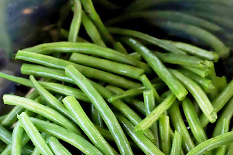 How to Cook Green Beans in an Electric Pressure Cooker Foodal