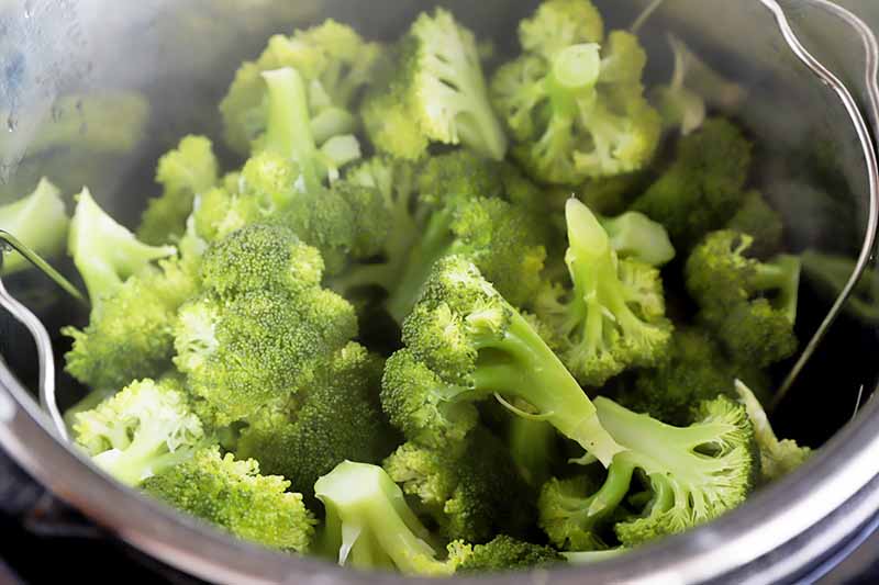 How to Cook Broccoli in the Electric Pressure Cooker Foodal