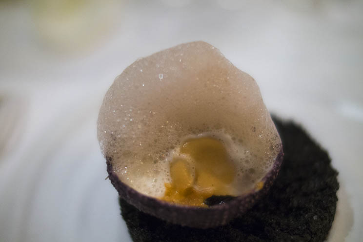 Christian Le Squer, Le Cinq (Paris) le don d’amplifier les saveurs Food & Sens