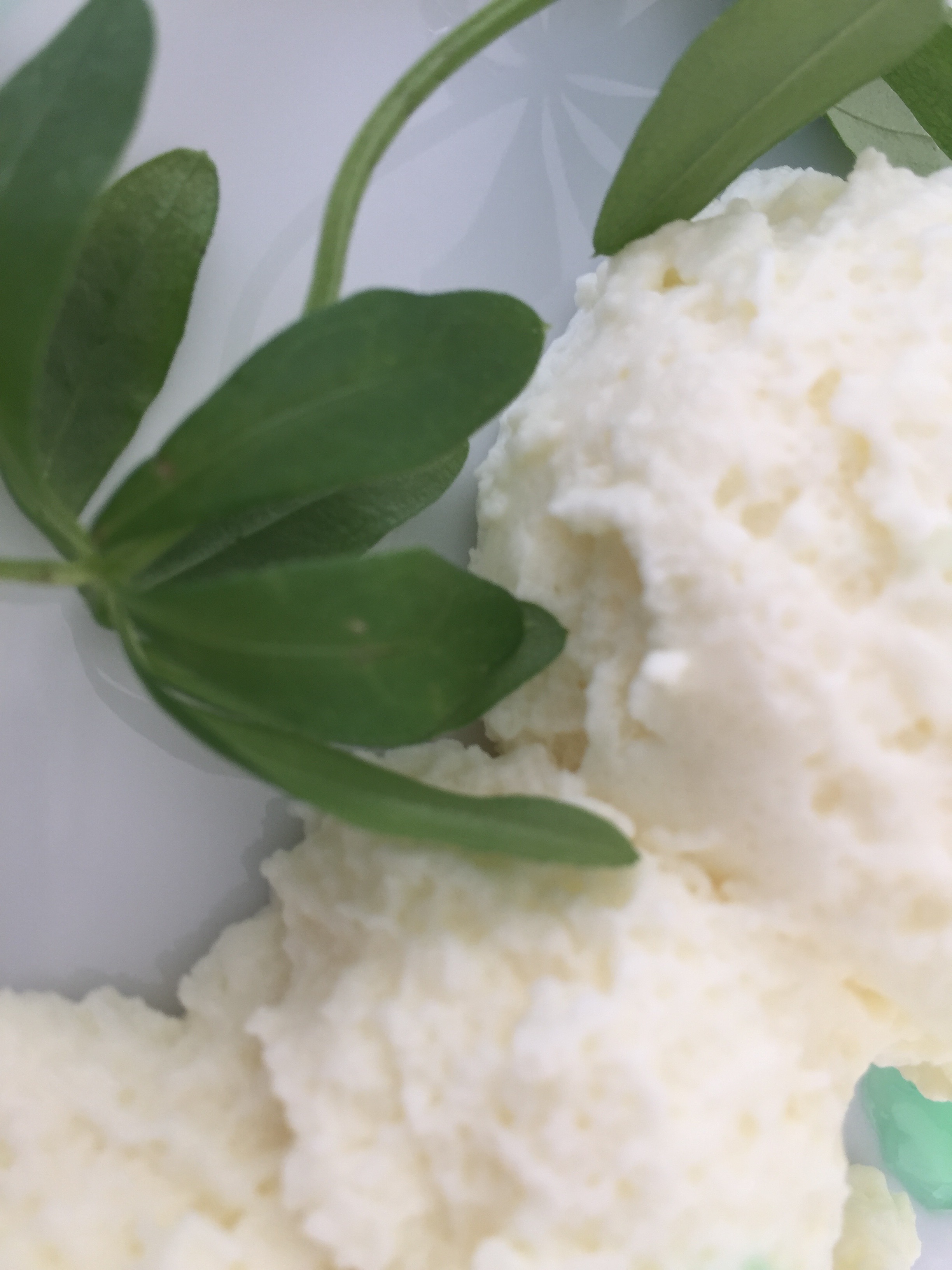 Waldmeistercreme schmeckt im Mai Foodblock.de, Essen, Trinken, Genuss und Rezepte