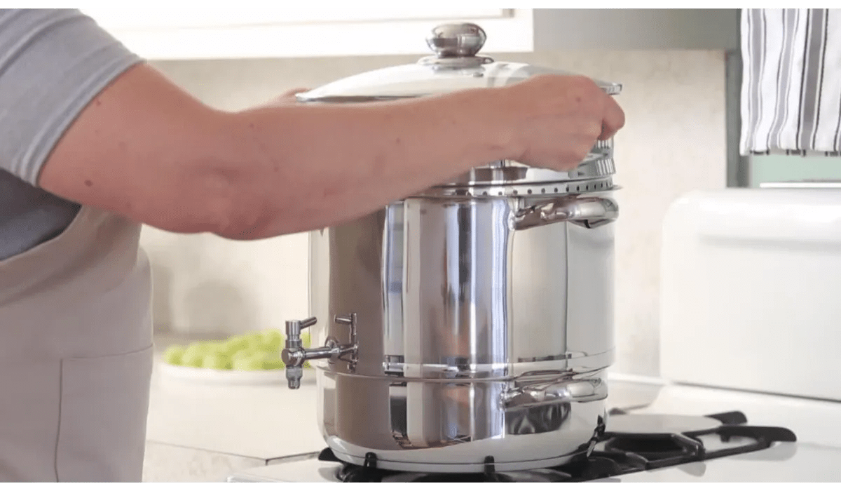 Top 10 Best Stainless Steel Juicer Steamer Reviews 2023