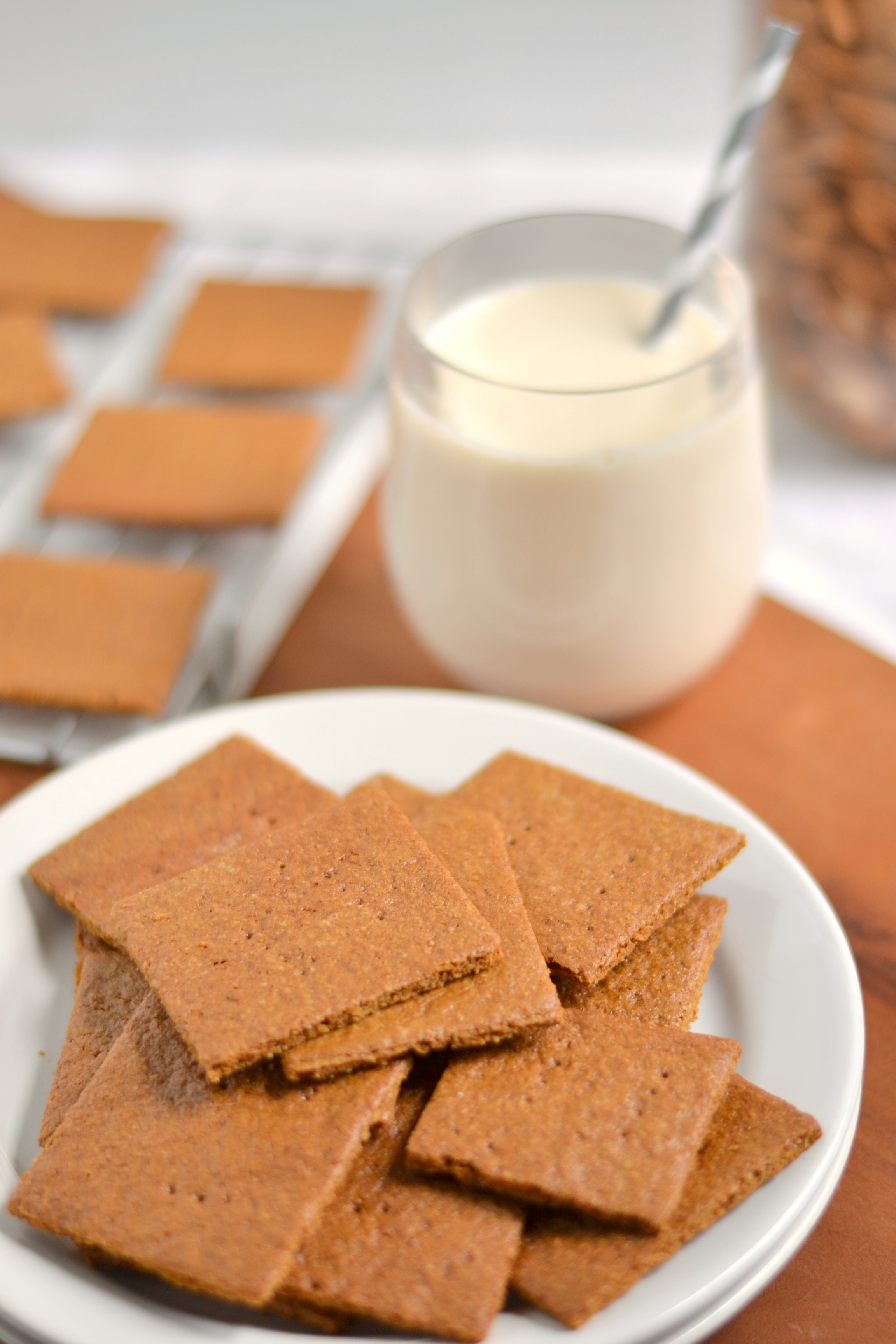 100 Whole Wheat Graham Crackers And a Giveaway! Food Doodles