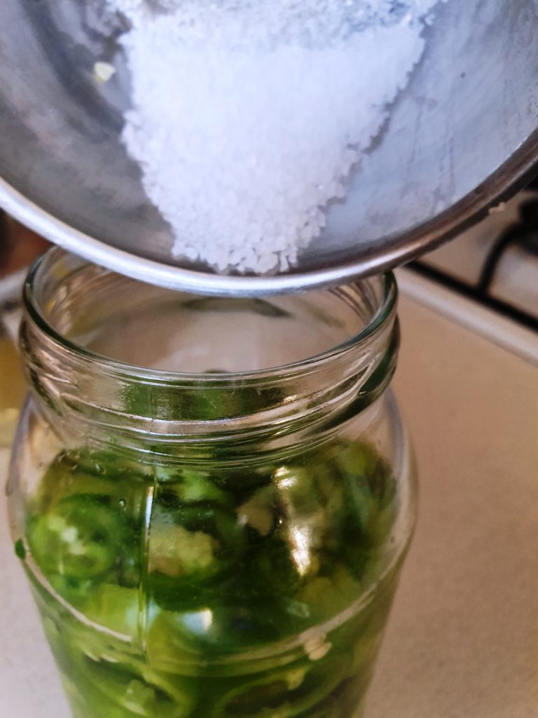 Lacto fermented vegetables Food Fermentation Tips