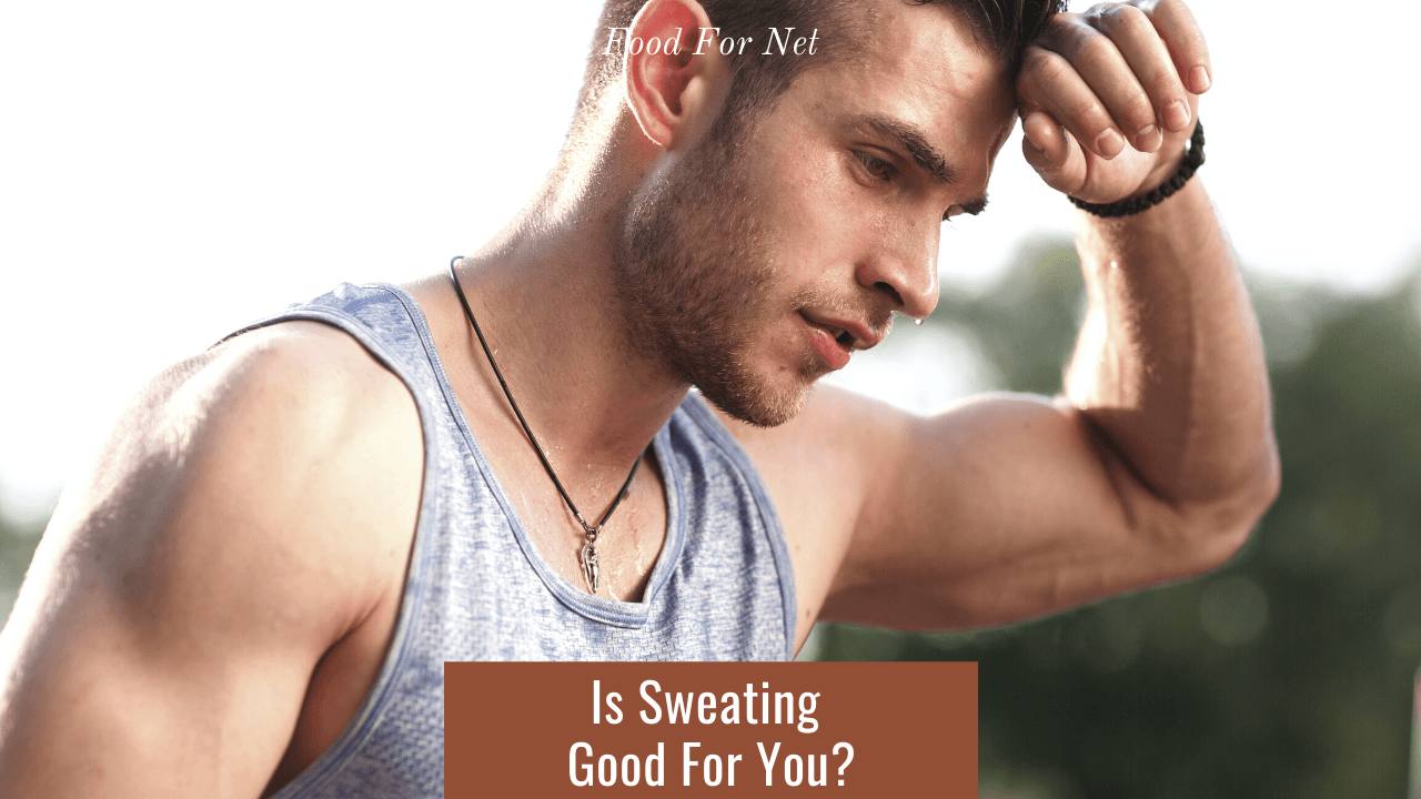 Is Sweating Good For You? Food For Net
