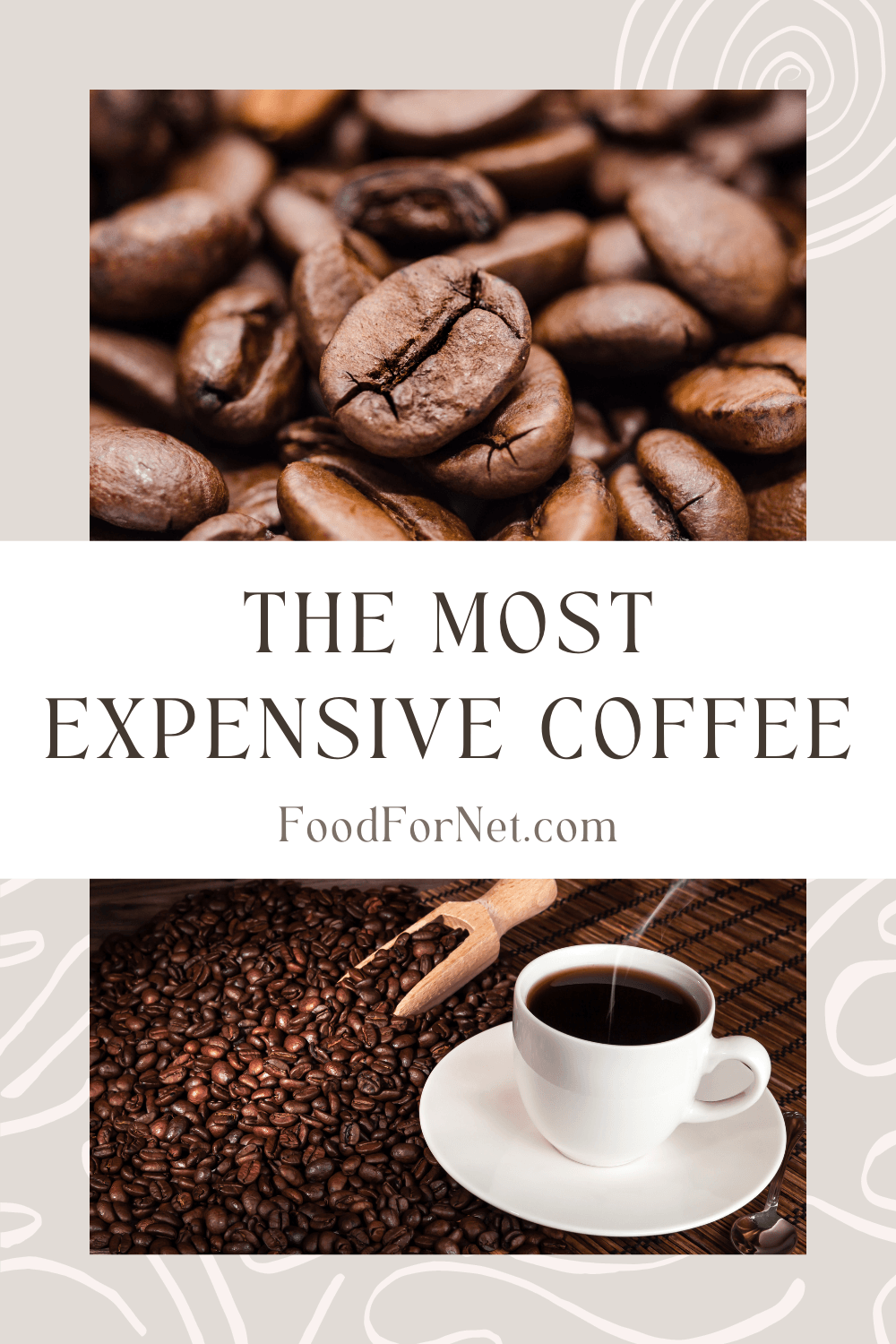 The Most Expensive Coffee You Can Find Anywhere Food For Net
