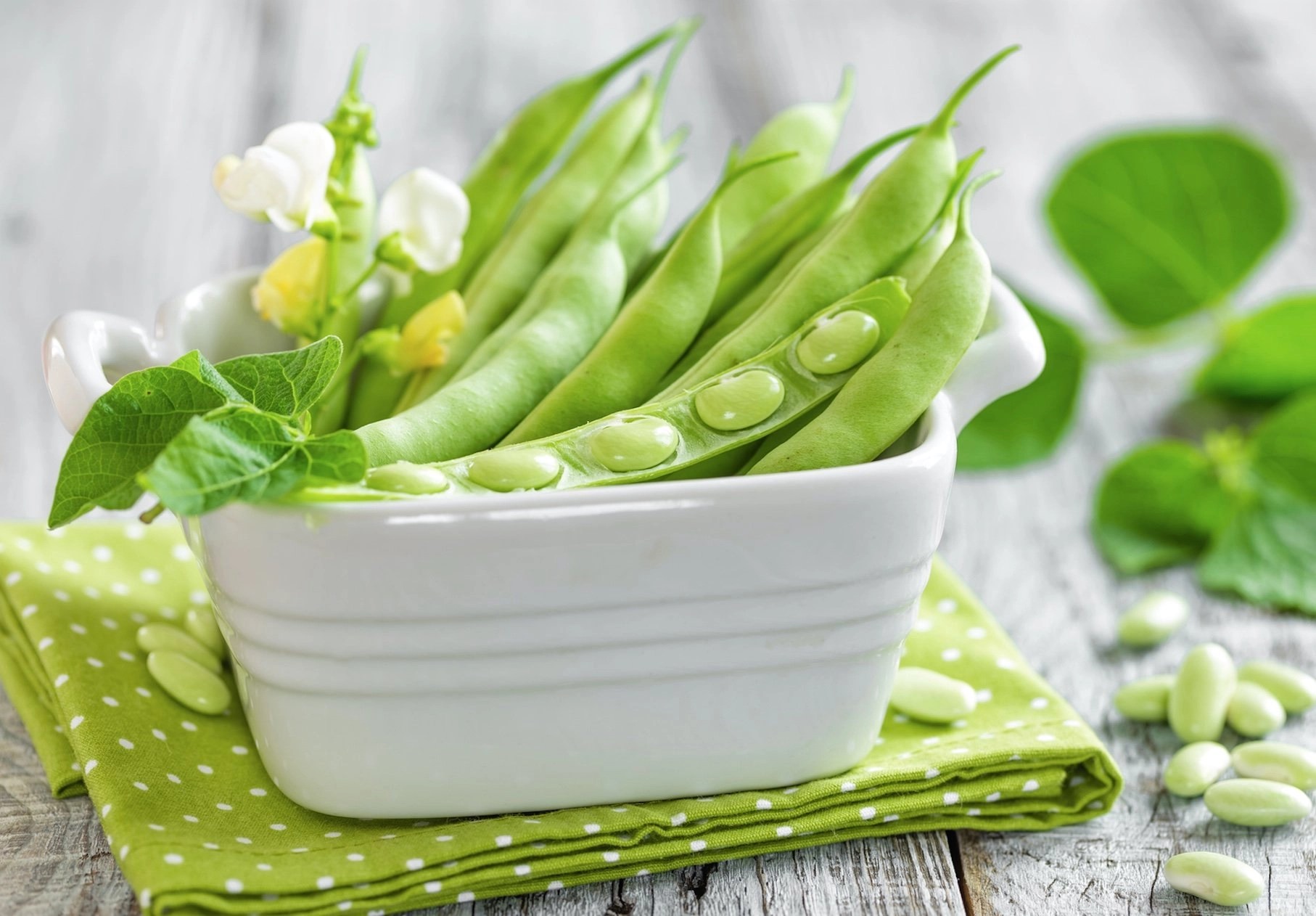 How To Store Fresh Green Beans? 10 Things You Need To Know