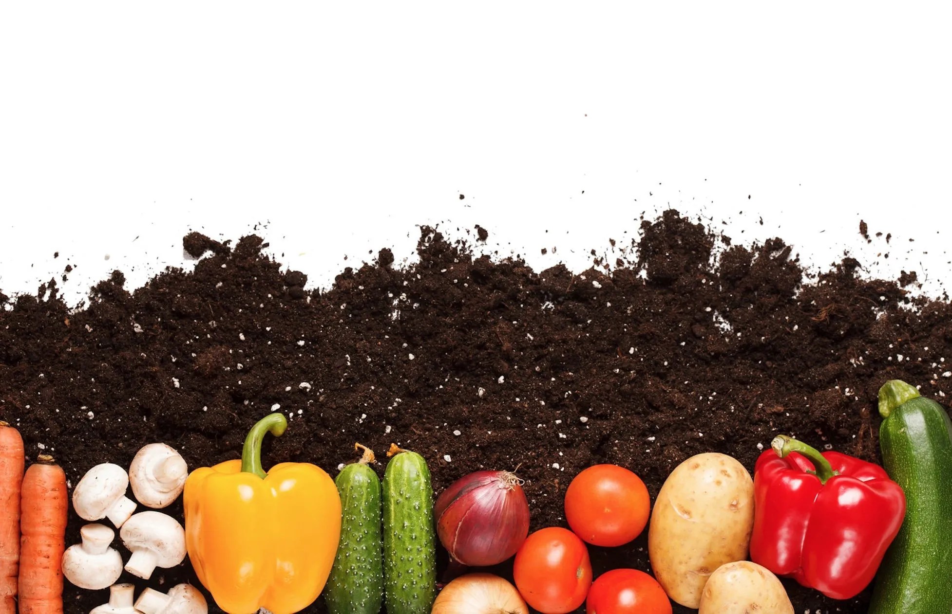 What Is The Best Organic Soil For Vegetables?
