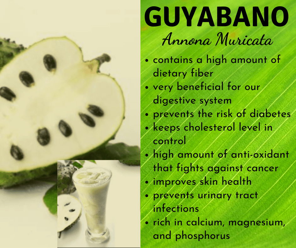 8 Healthy Benefits of Guyabano Food Health and Science