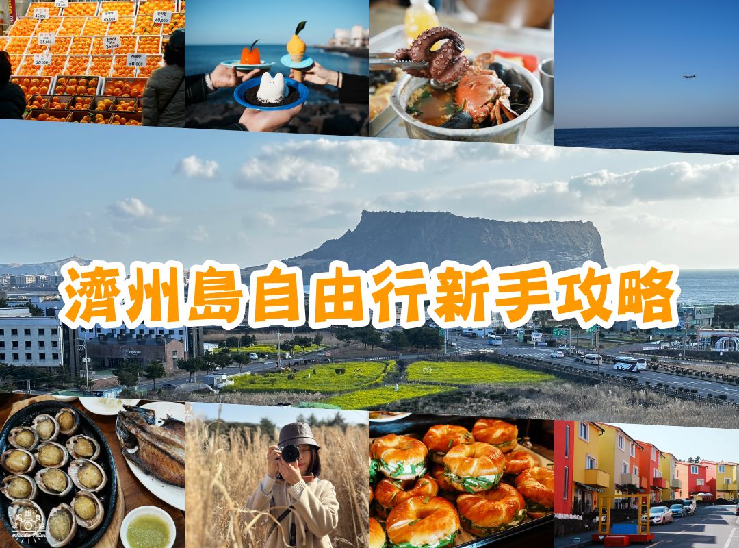 【2025濟州島自由行新手攻略】第一次規劃濟州島行程必看！租車自駕、行程景點、必吃美食、住宿推薦一篇給你！