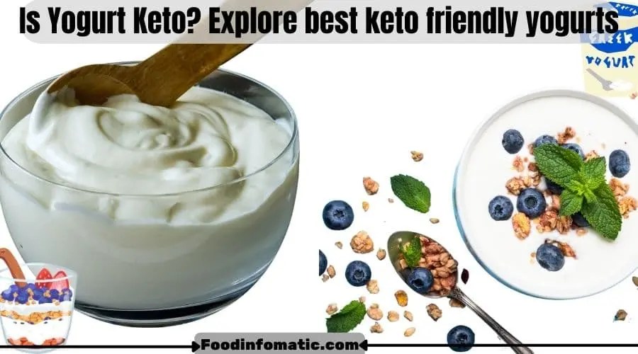 Is Yogurt Keto? Best Keto Friendly Yogurts homemade recipes
