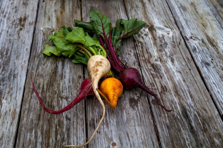 What Makes Beets Red ? Here's What's In Them Foodiosity