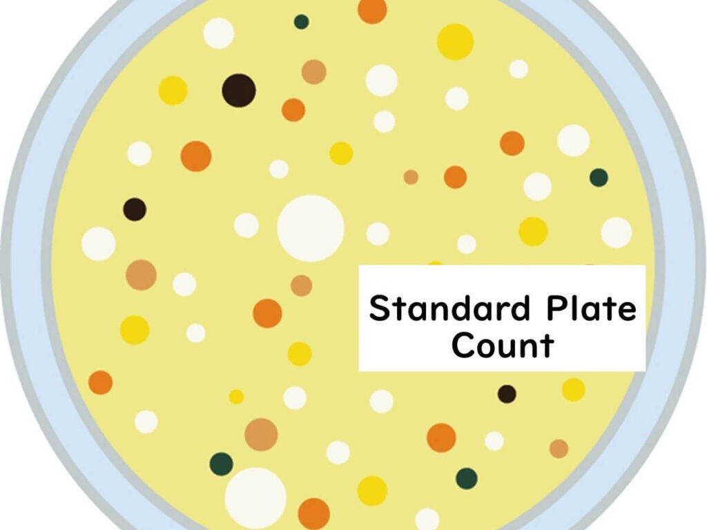 Unveiling the Truth About Standard Plate Counting A Crucial Tool in
