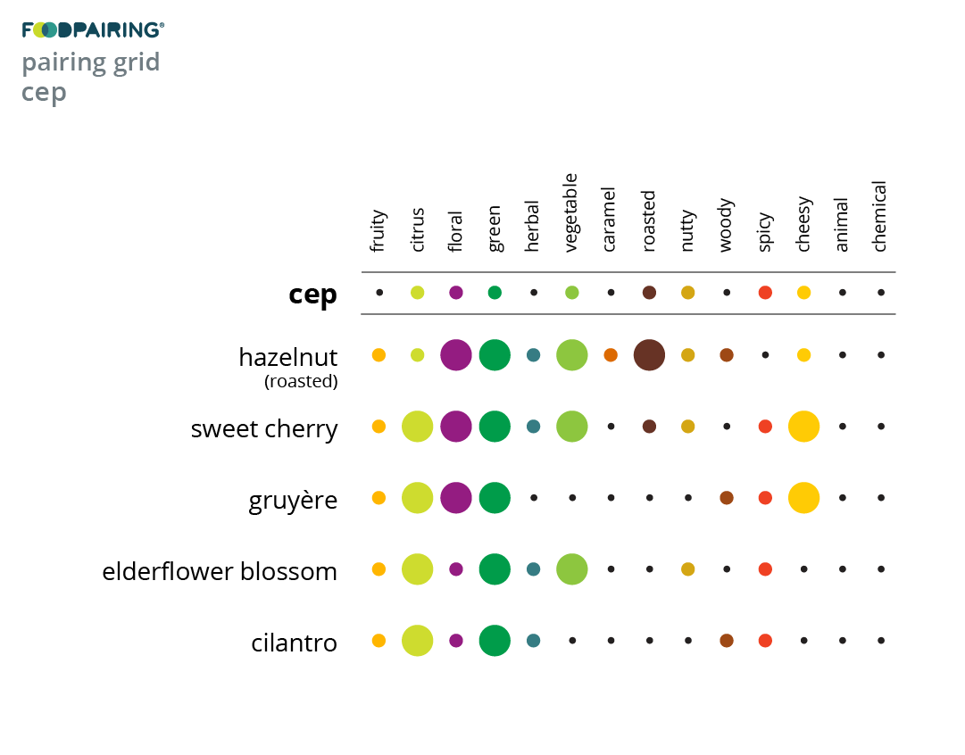 Visualizing food a new way to see aroma and flavor Foodpairing