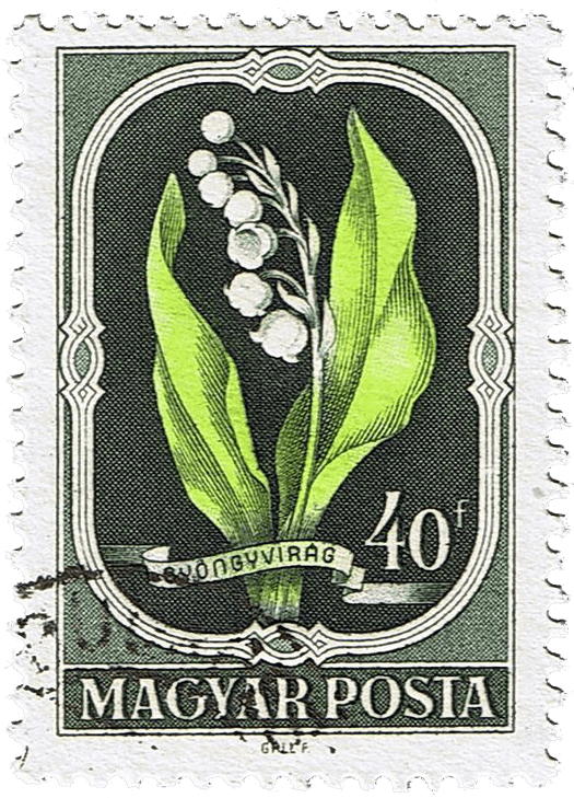 Happy May Day, and Spring Recipes Food Perestroika