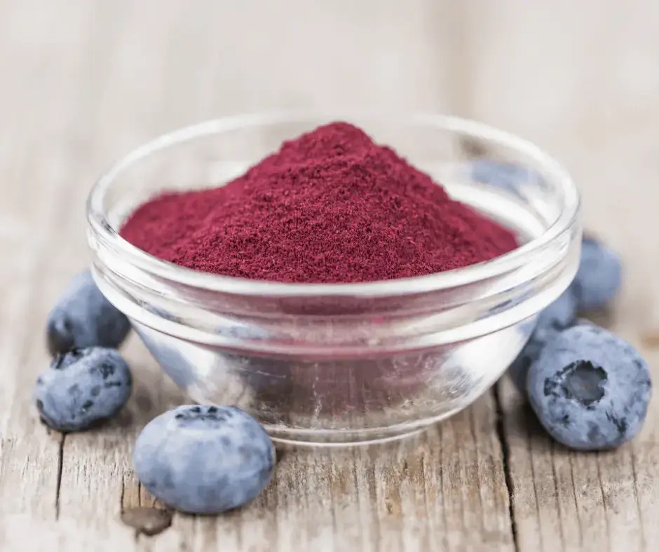 How to Make Blueberry Powder Food Prep Guide Preserving & Storing Food