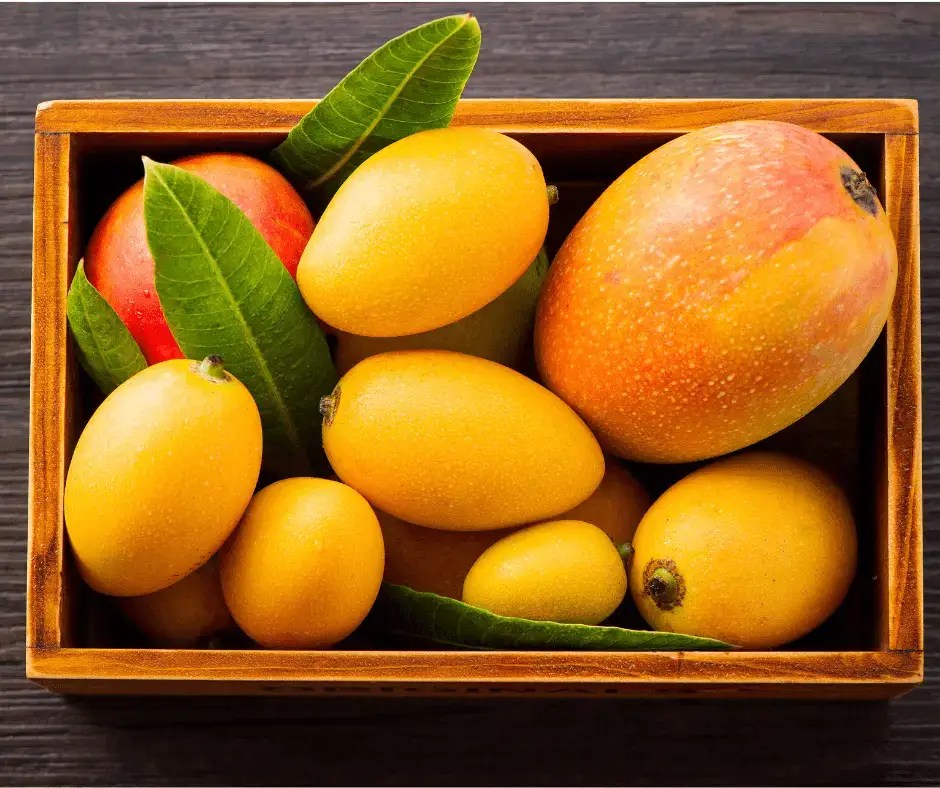 How to Store Mangoes Food Prep Guide Preserving & Storing Food