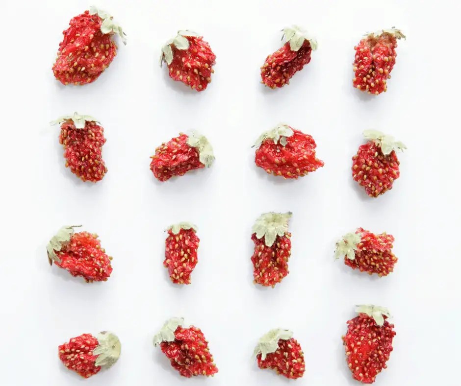 Dried Strawberry Benefits Food Prep Guide Preserving & Storing Food