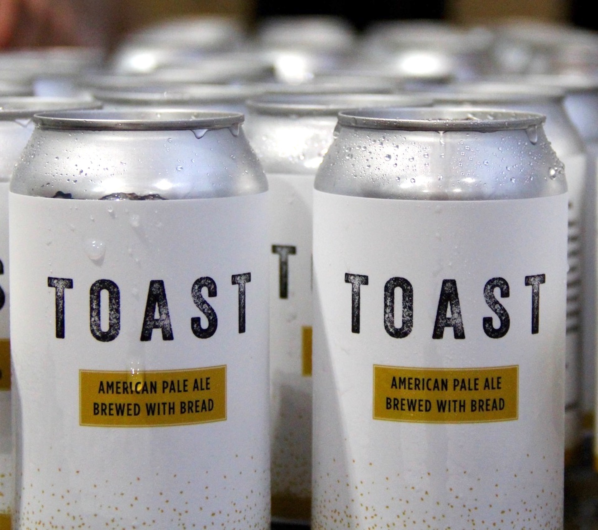 Raising a Glass to Toast Ale with Madi Holtzman FoodPrint