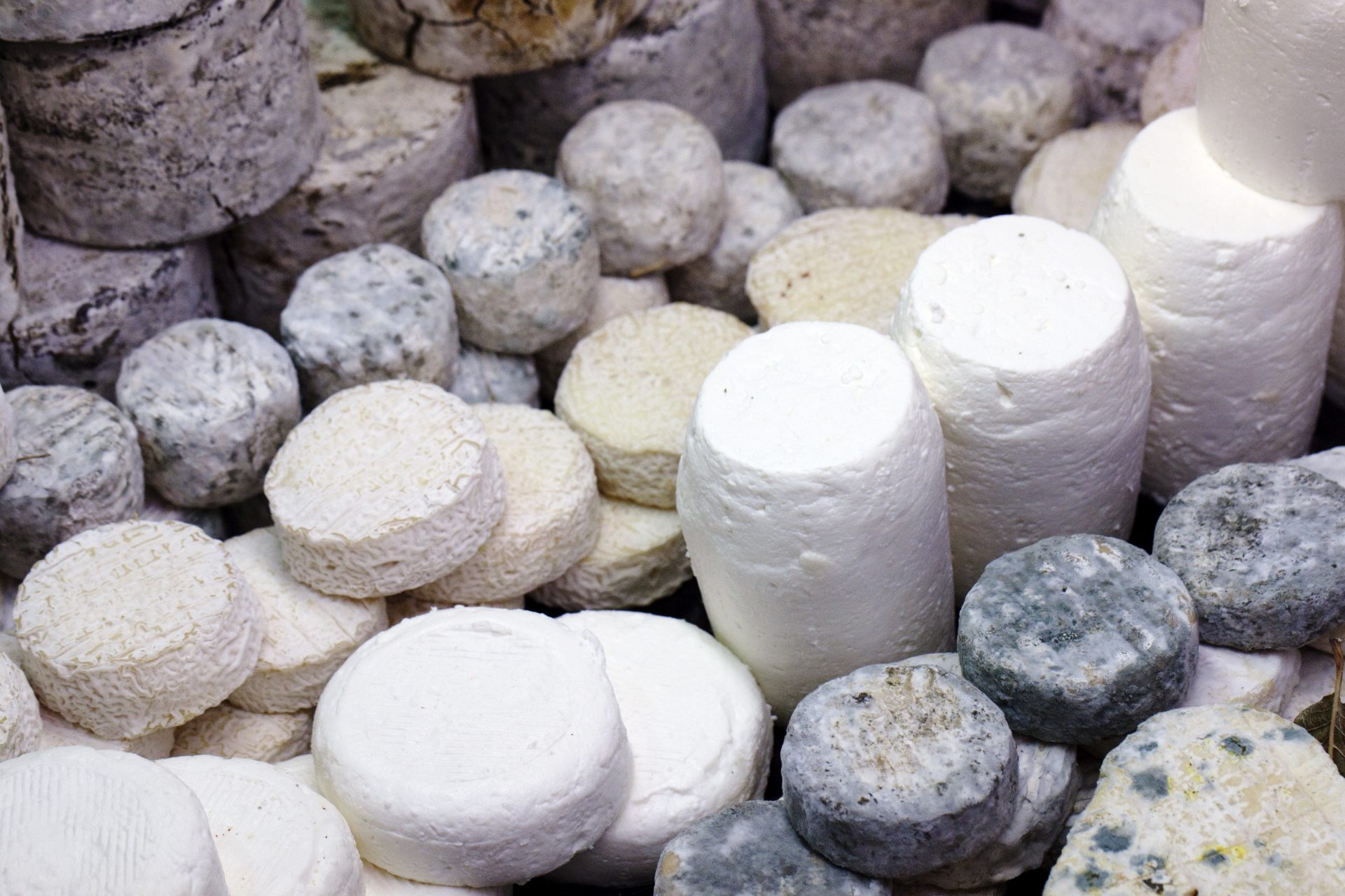 Goat Cheese Tastes Gamey at Margaret Martin blog