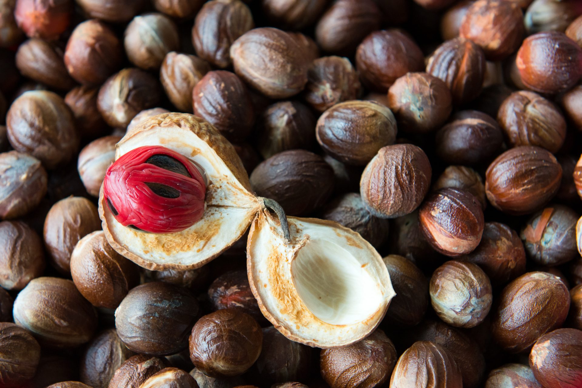 Real Food Encyclopedia Nutmeg and Mace FoodPrint