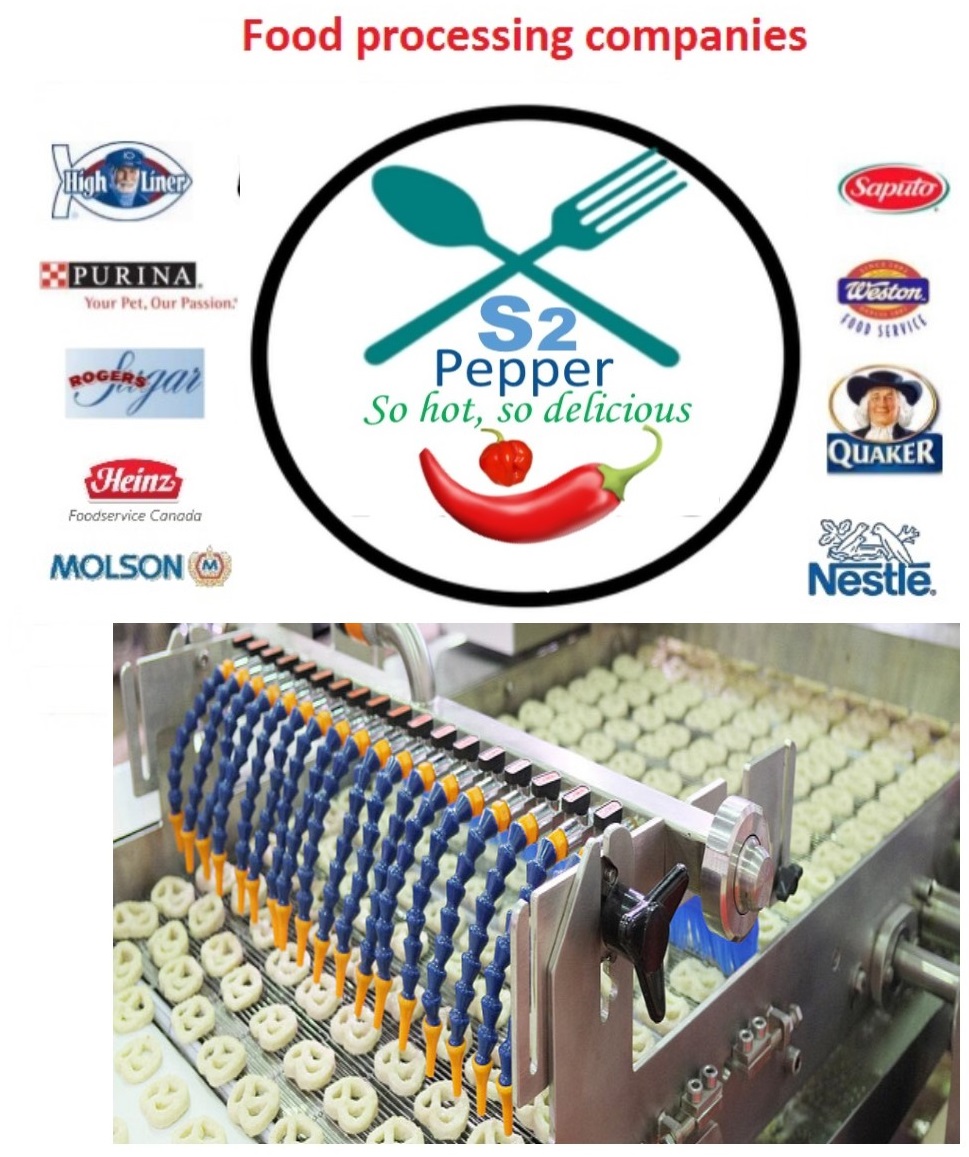 food manufacturing value addition in agriculture