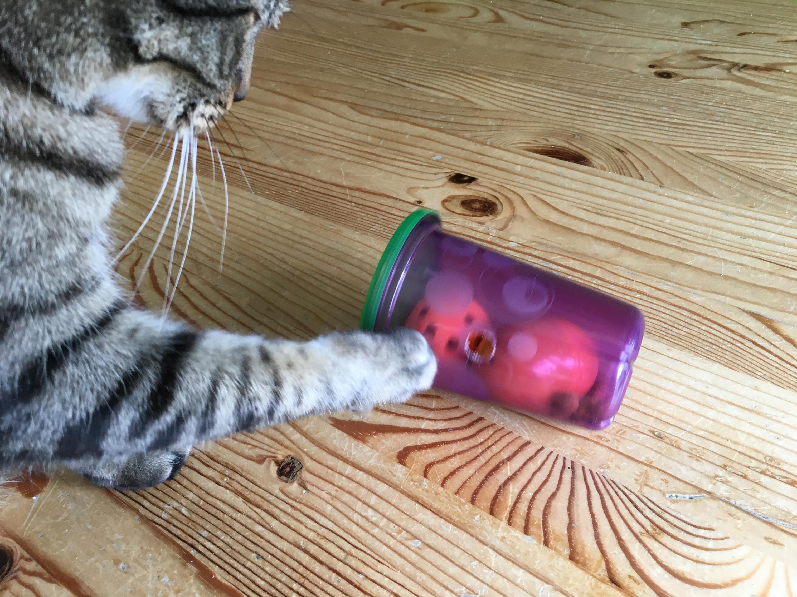 Rolling Puzzles Food Puzzles for Cats