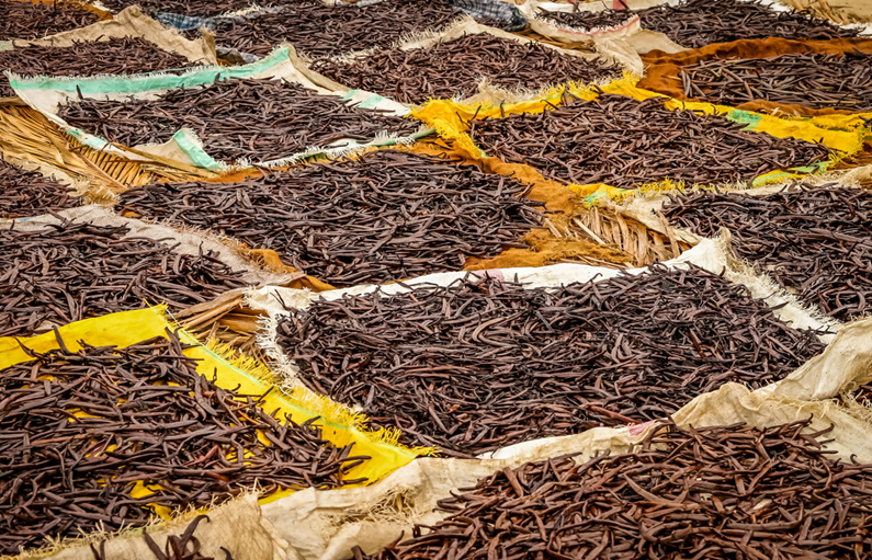 Why is Vanilla Bean So Expensive at Costco? Foodsalternative
