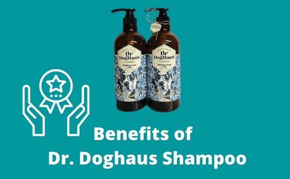 Dr. Doghaus Pet Shampoo Review 2022 Every Thing You Need to Know Foodsalternative