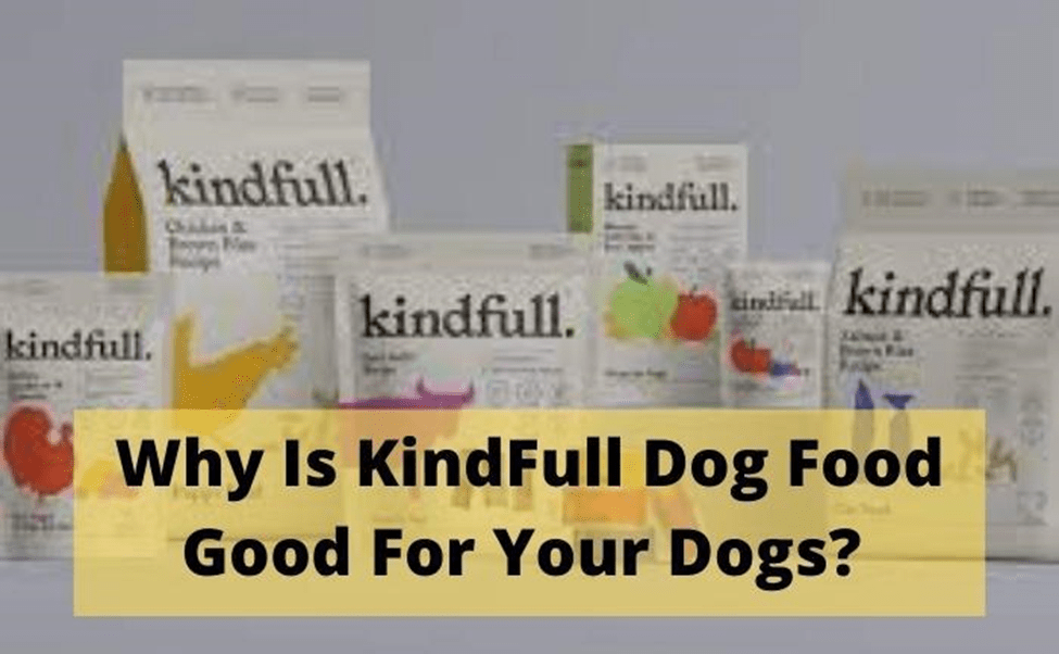Kindfull Dog Food Reviews Is It Good For Your Dog? Foodsalternative