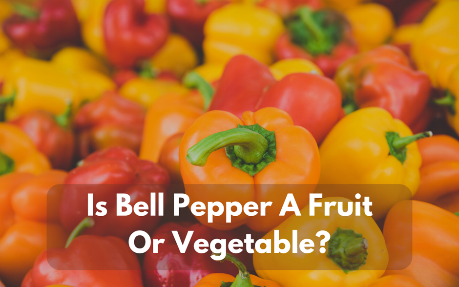 Is Bell Pepper A Fruit Or Vegetable? (Benefits And Side Effects) Foodsalternative