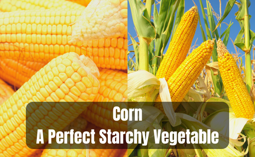 Is Corn a Fruit or Vegetable? (Benefits and Side Effects