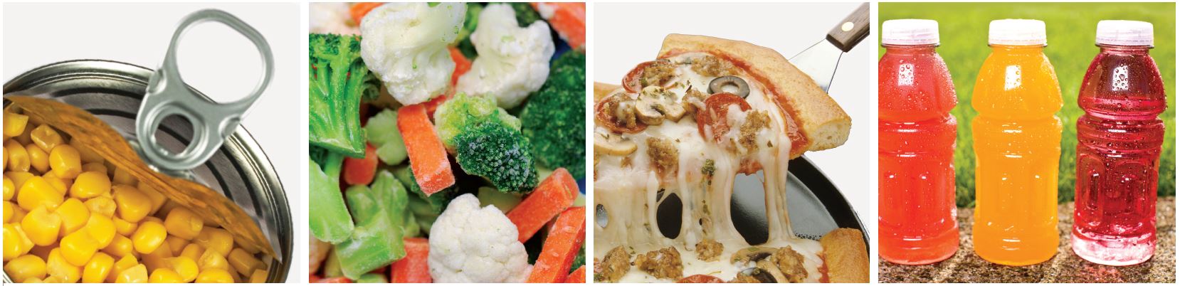 Fundamentals of Food Science — Short Courses and — Department